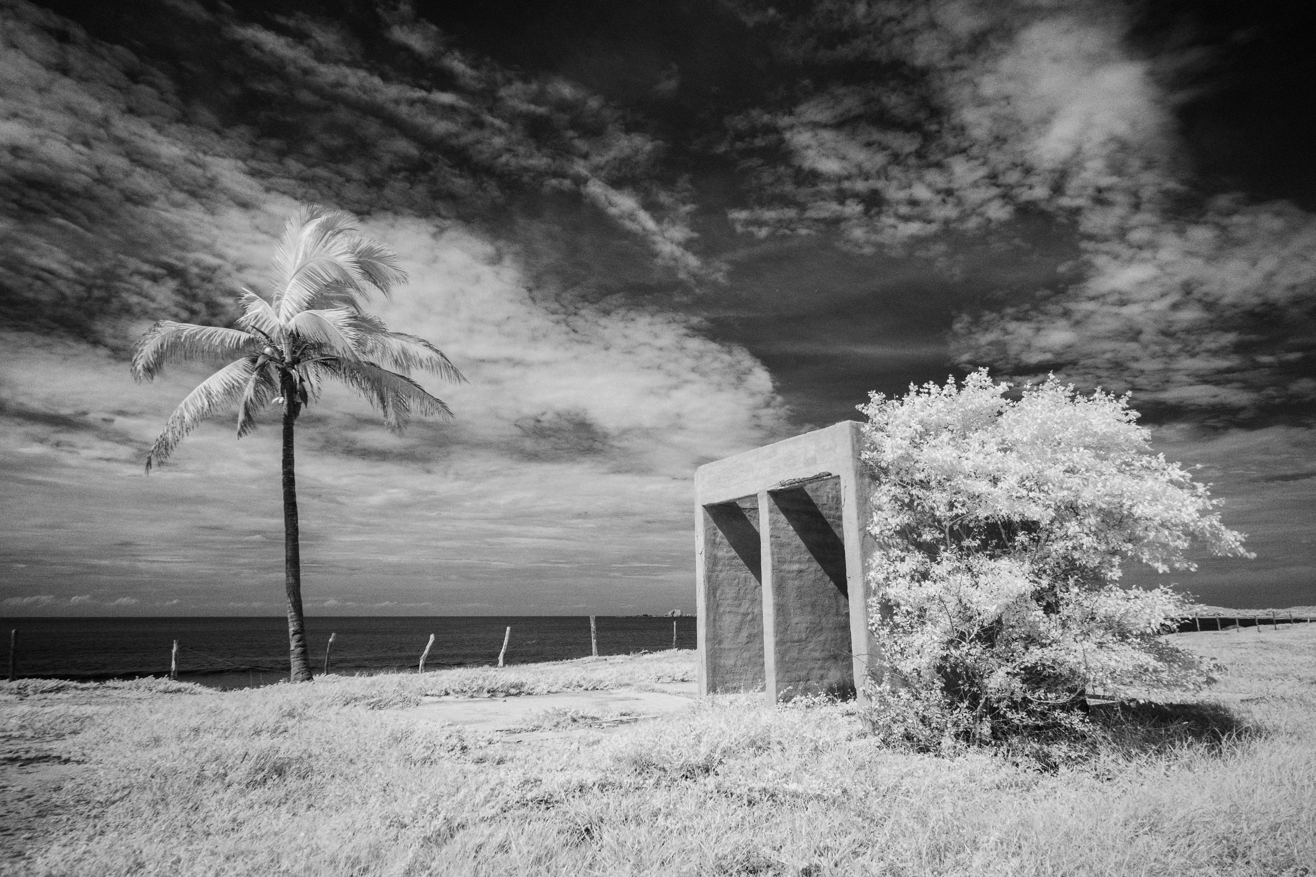 Killing Fields